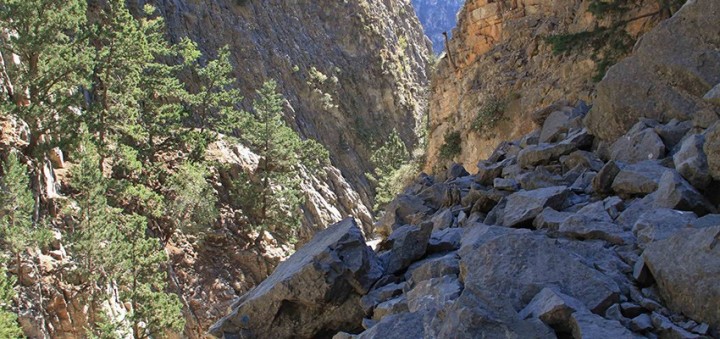 Excursions dans les gorges de Crète!